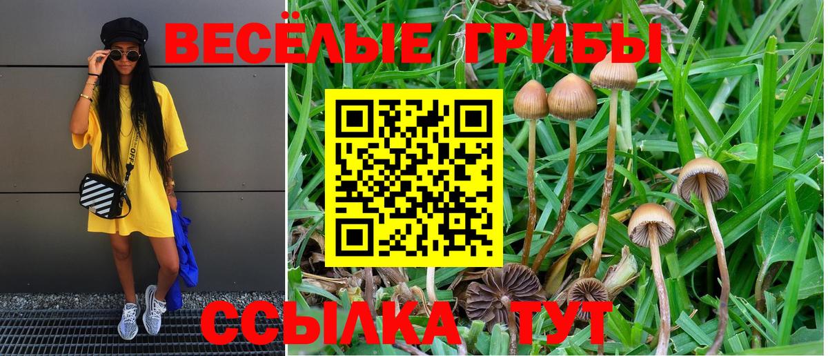 Норильск  Галлюциногенные грибы Cubensis  Вход с VPN  Псилоцибиновые грибы Psilocybe 